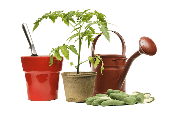 محصولات نگهداری گیاه