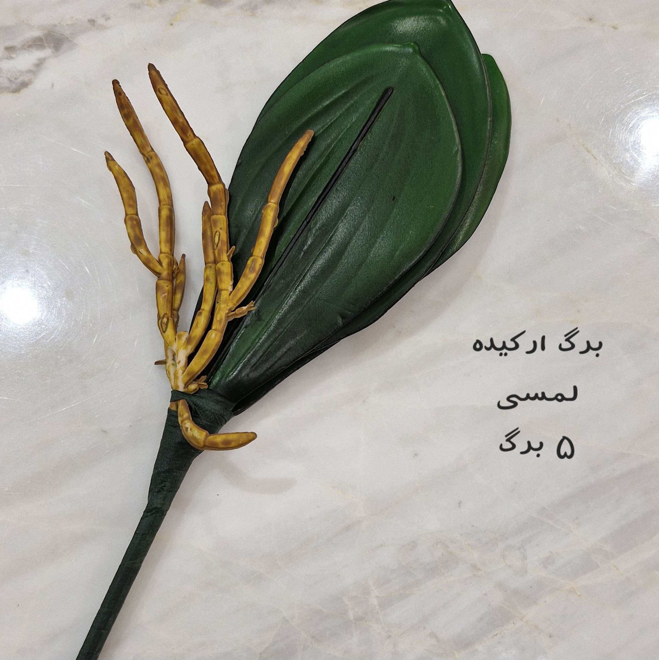 برگ ارکیده - تصویر 2