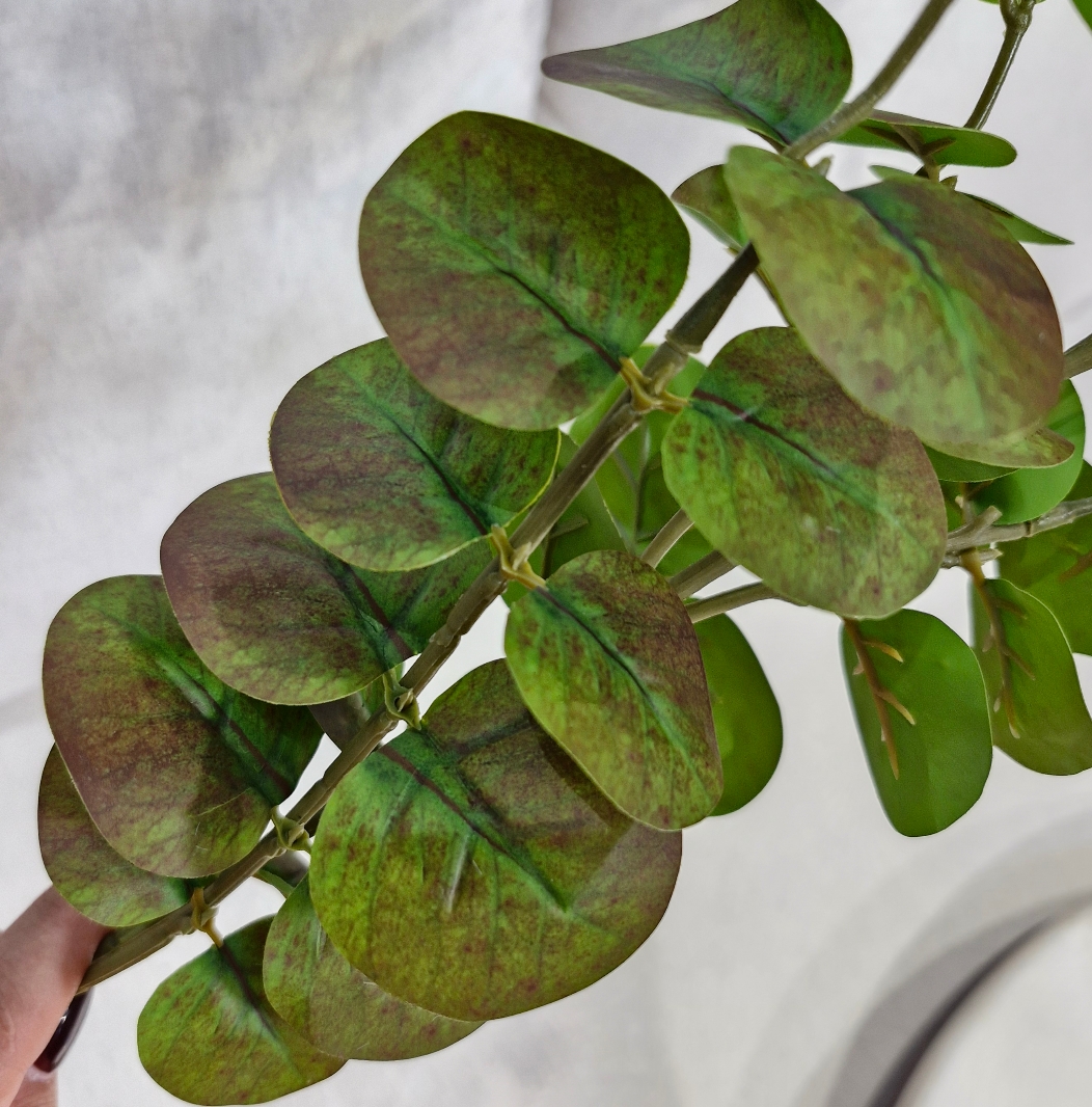 شاخه اکالیپتوس لمسی کد 101 - سبز