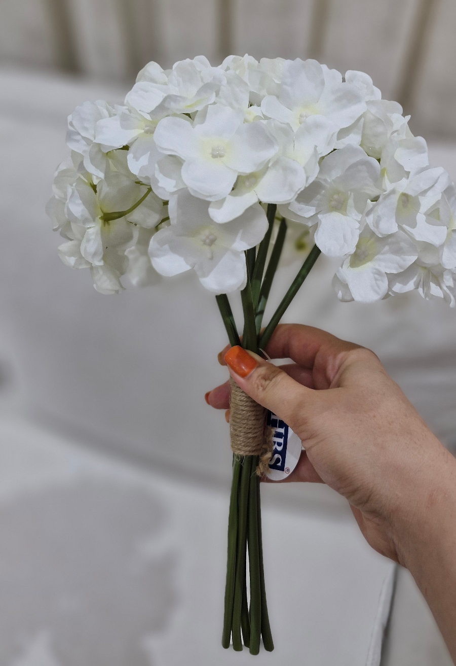 بسته هورتانزیا - تصویر 2