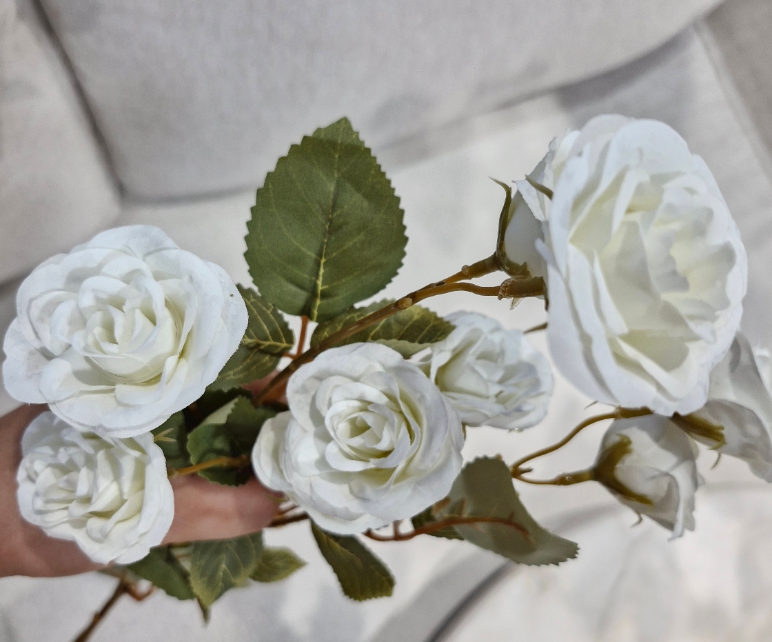 رز مینیاتوری شاخه بلند - سفید