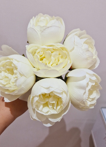 بسته پیونی - سفید