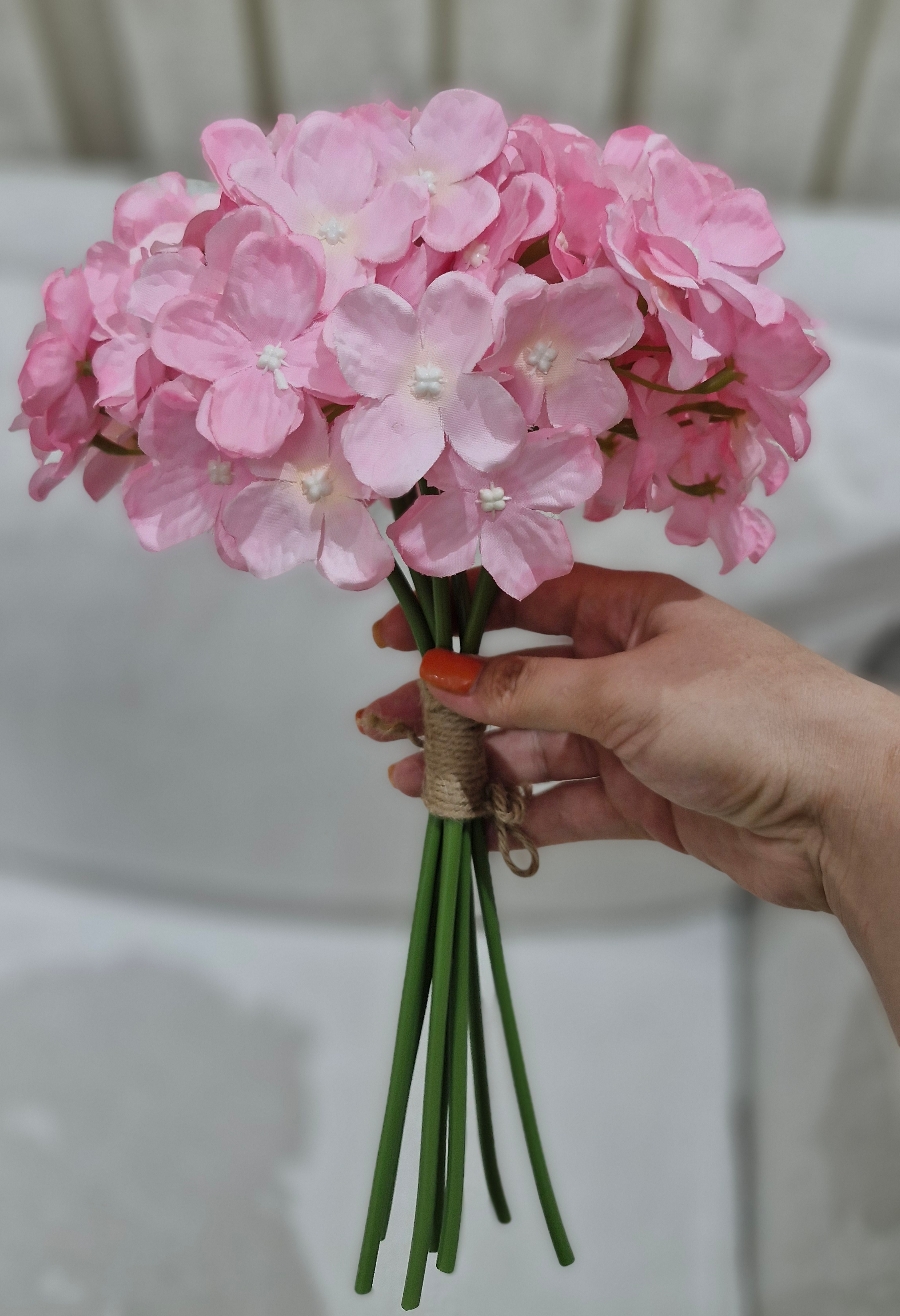 بسته هورتانزیا