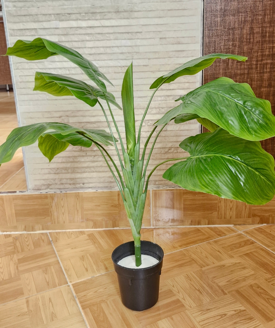 بابا آدم کوچک - تصویر 2