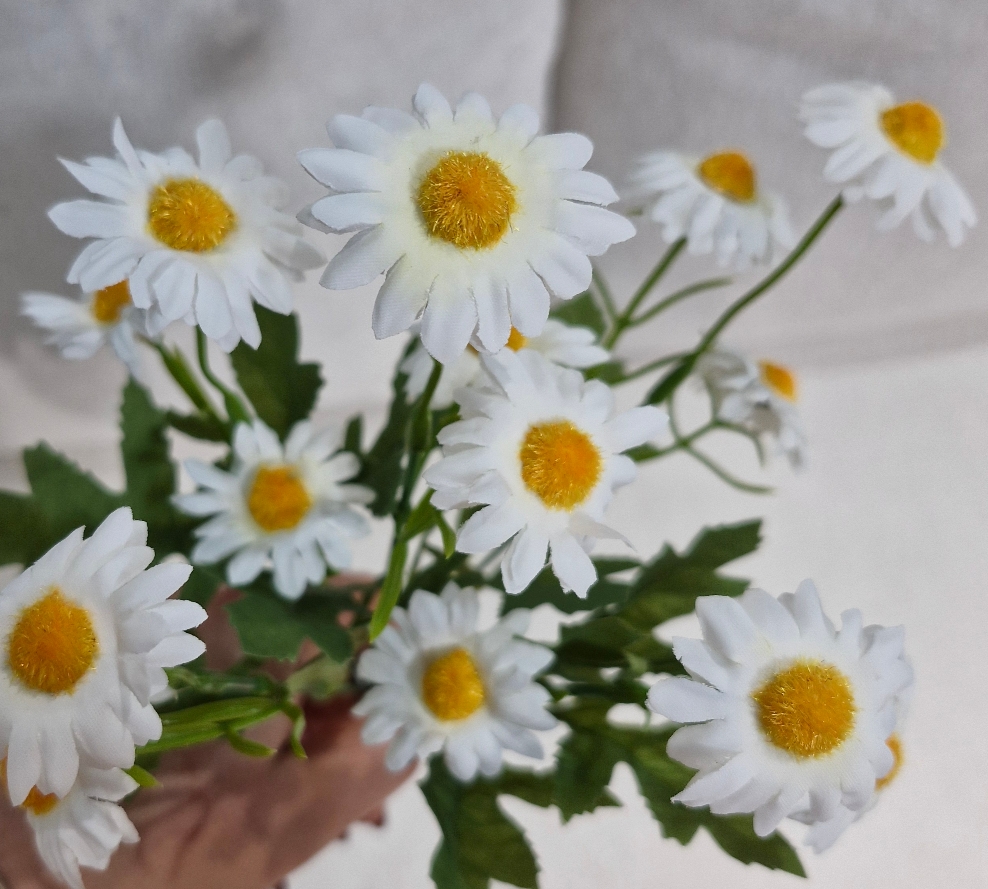 بابونه لمسی 15گل