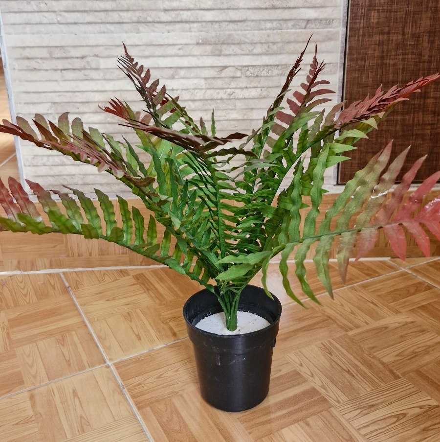 سرخس - تصویر 3