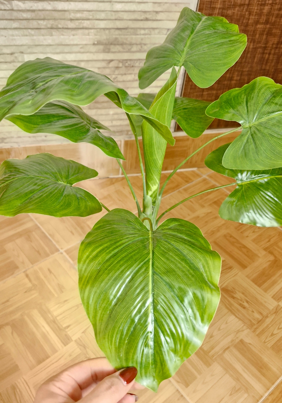 بابا آدم کوچک - تصویر 3