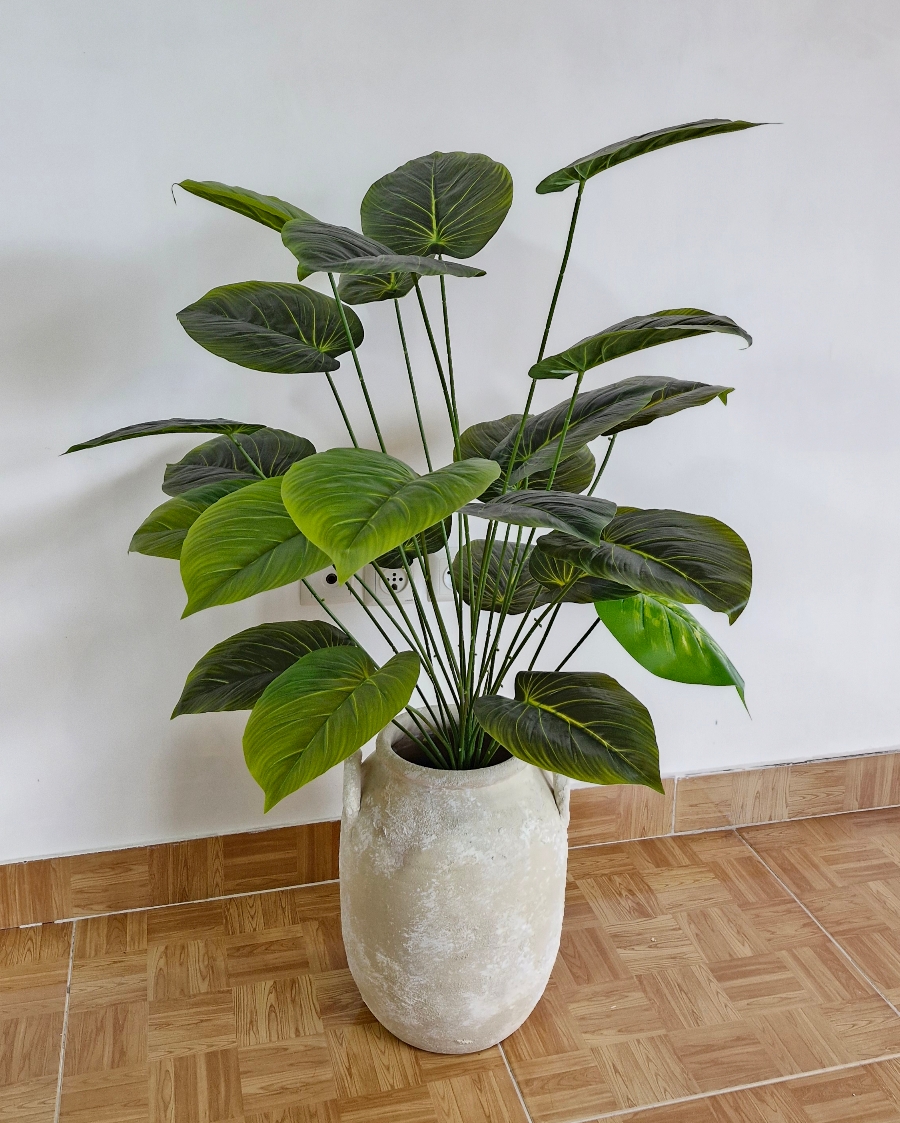 درختچه 24 برگ