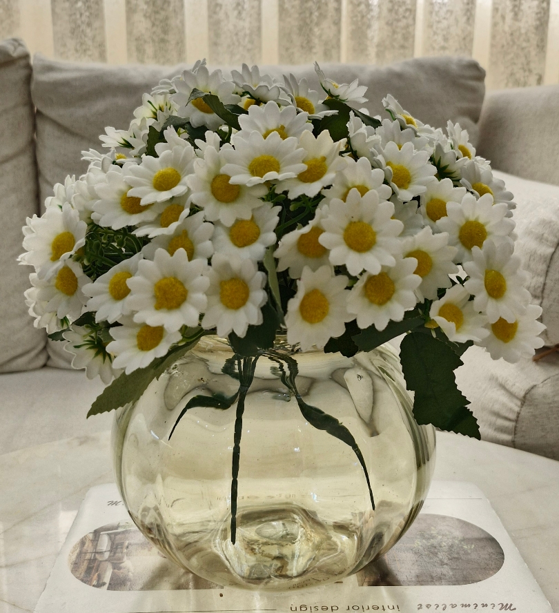 بابونه مخملی 25گل