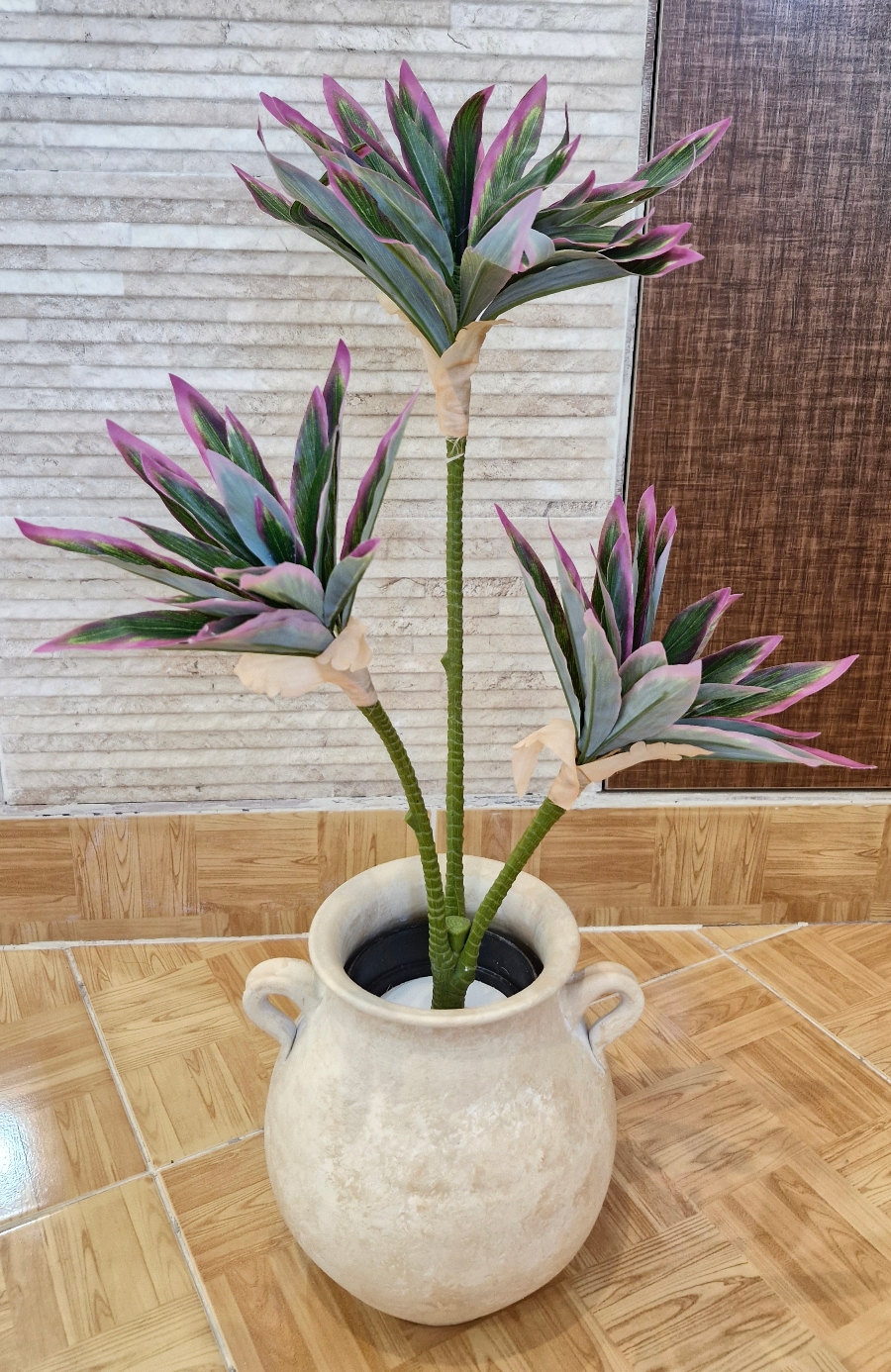 درختچه آناناسی