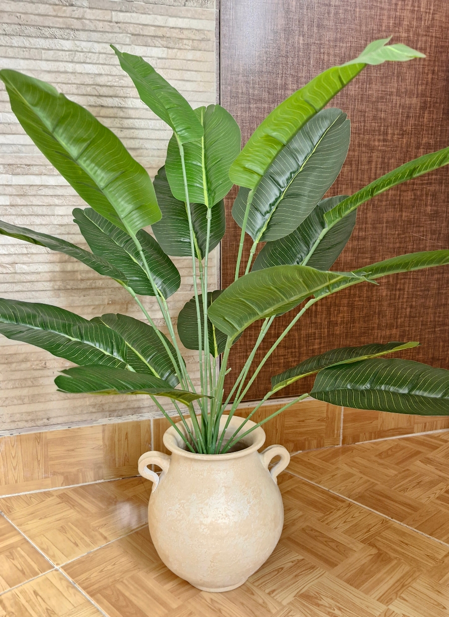 پرنده بهشتی کوچک