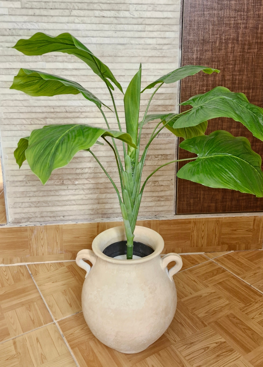 بابا آدم کوچک