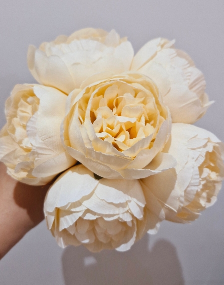 بسته پیونی - کرمی